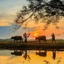 Bạch An Bạch An
