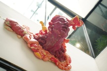 Dị nhân cao 15m gây ngạc nhiên ở triển lãm sắp đặt đương đại