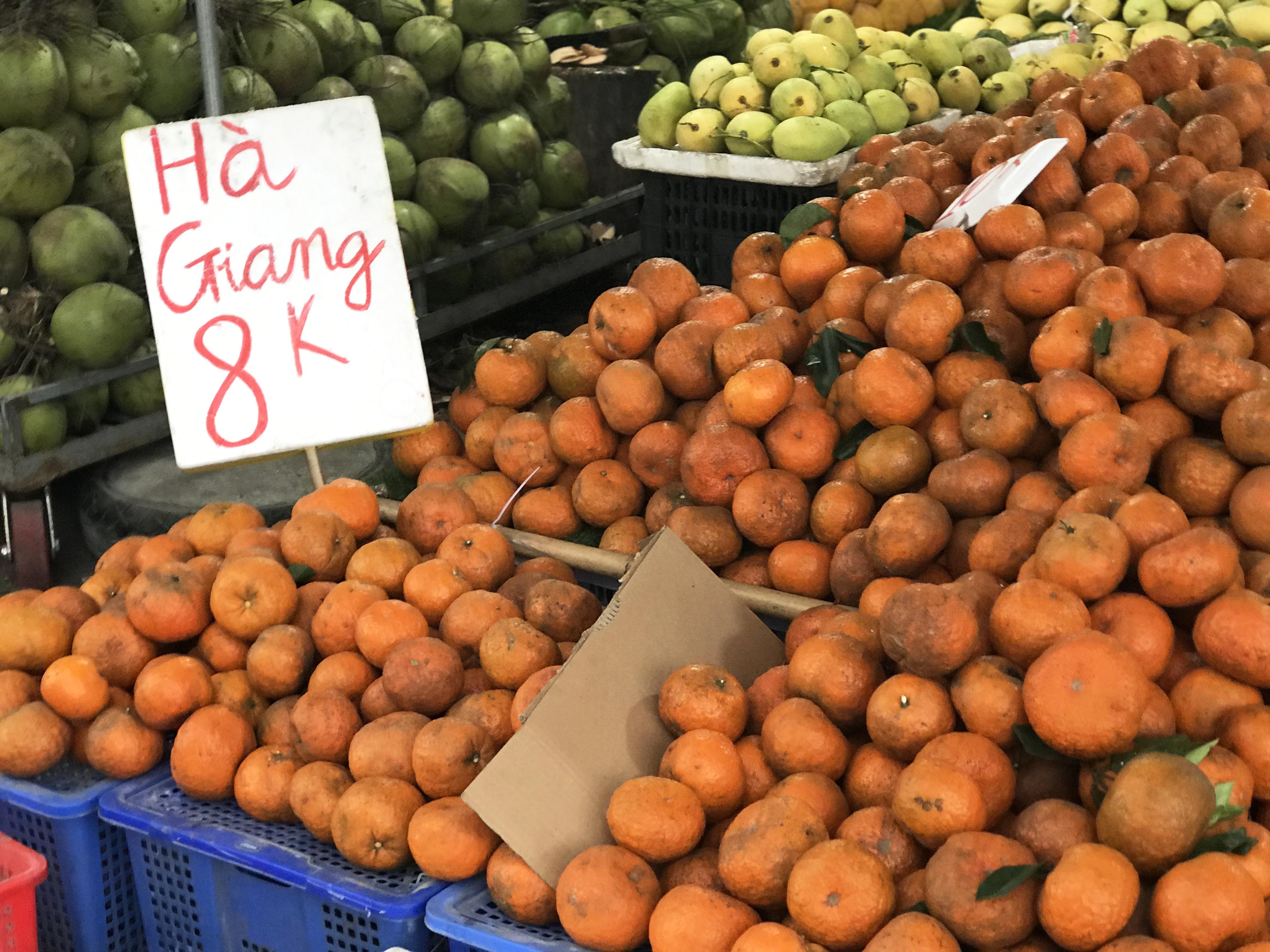 Cam sành đặc sản giá siêu rẻ 8.000 đồng/kg, tiểu thương tiết lộ sự thật - 1 Cam sành đặc sản giá siêu rẻ 8.000 đồng/kg, tiểu thương tiết lộ sự thật - 1