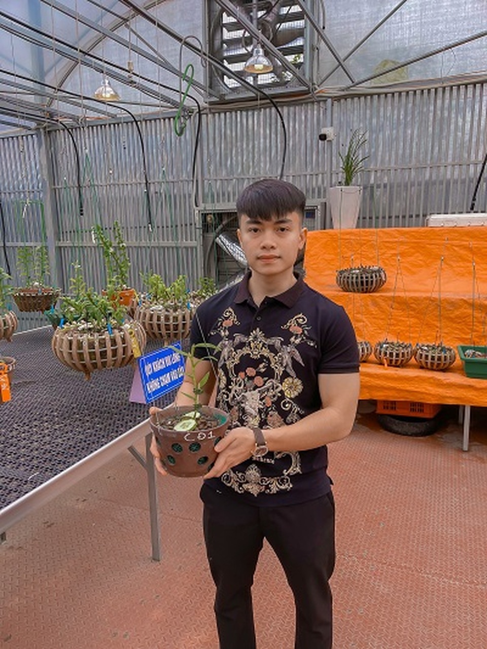 Nghệ nhân chia sẻ cách chăm hoa lan đơn gian, tỷ lệ thành công cao - 3 Nghệ nhân chia sẻ cách chăm hoa lan đơn gian, tỷ lệ thành công cao - 3