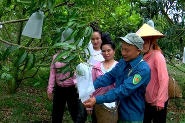 Vận hành chính quyền địa phương 2 cấp gắn xây dựng nông thôn mới ở Sơn La