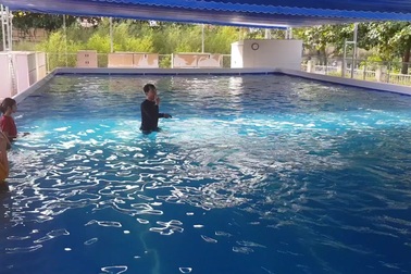 Đầu hè, học sinh đổ xô đi học bơi nhằm phòng đuối nước