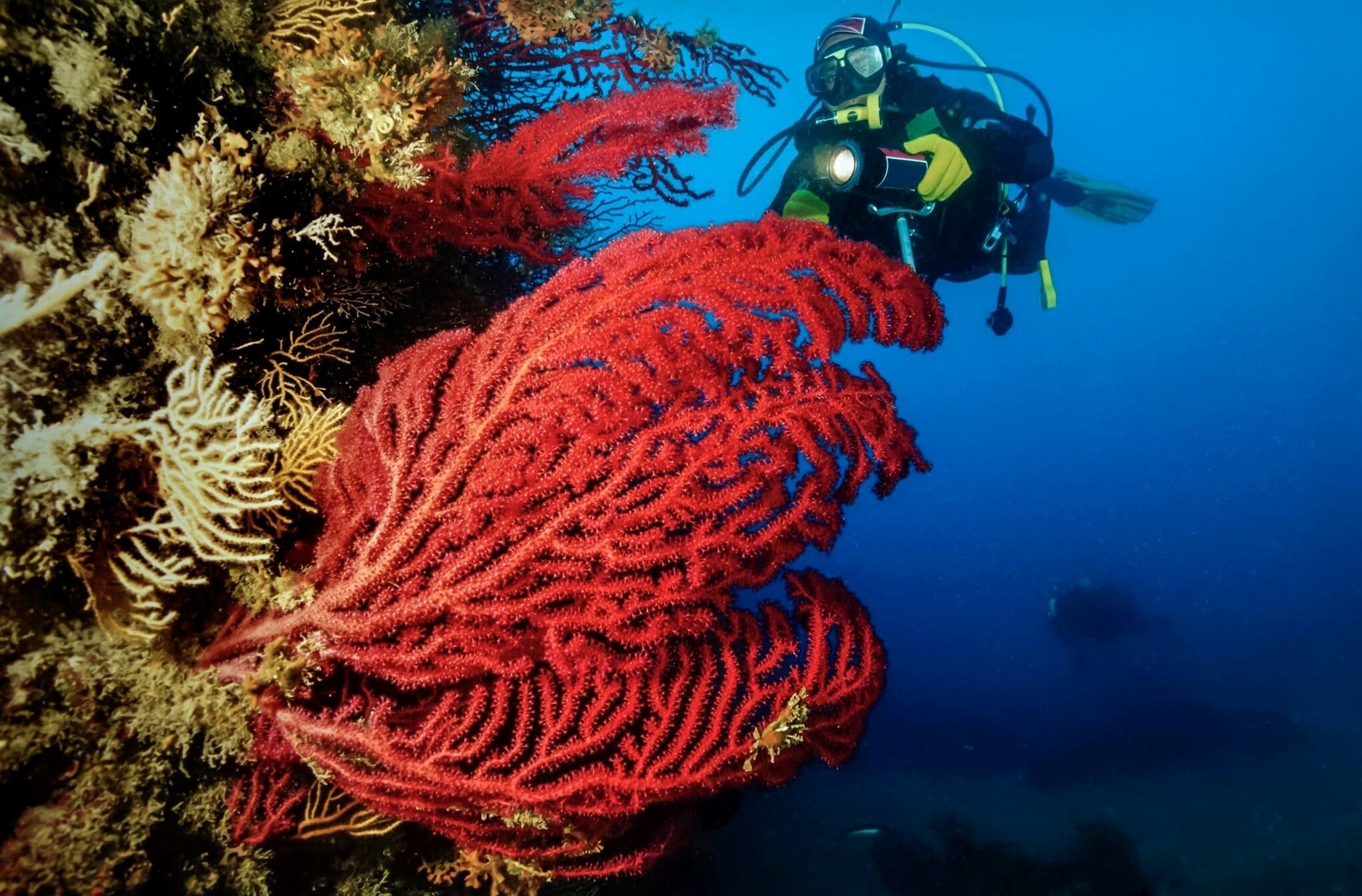 Libera Nha Trangs ettåriga genombrottsresa - 8 Hành trình một năm bứt phá của Libera Nha Trang - 8