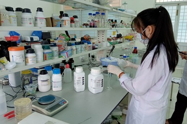 Hai nữ sinh lớp 11 nghiên cứu khả năng kháng đái tháo đường của cây lá gai