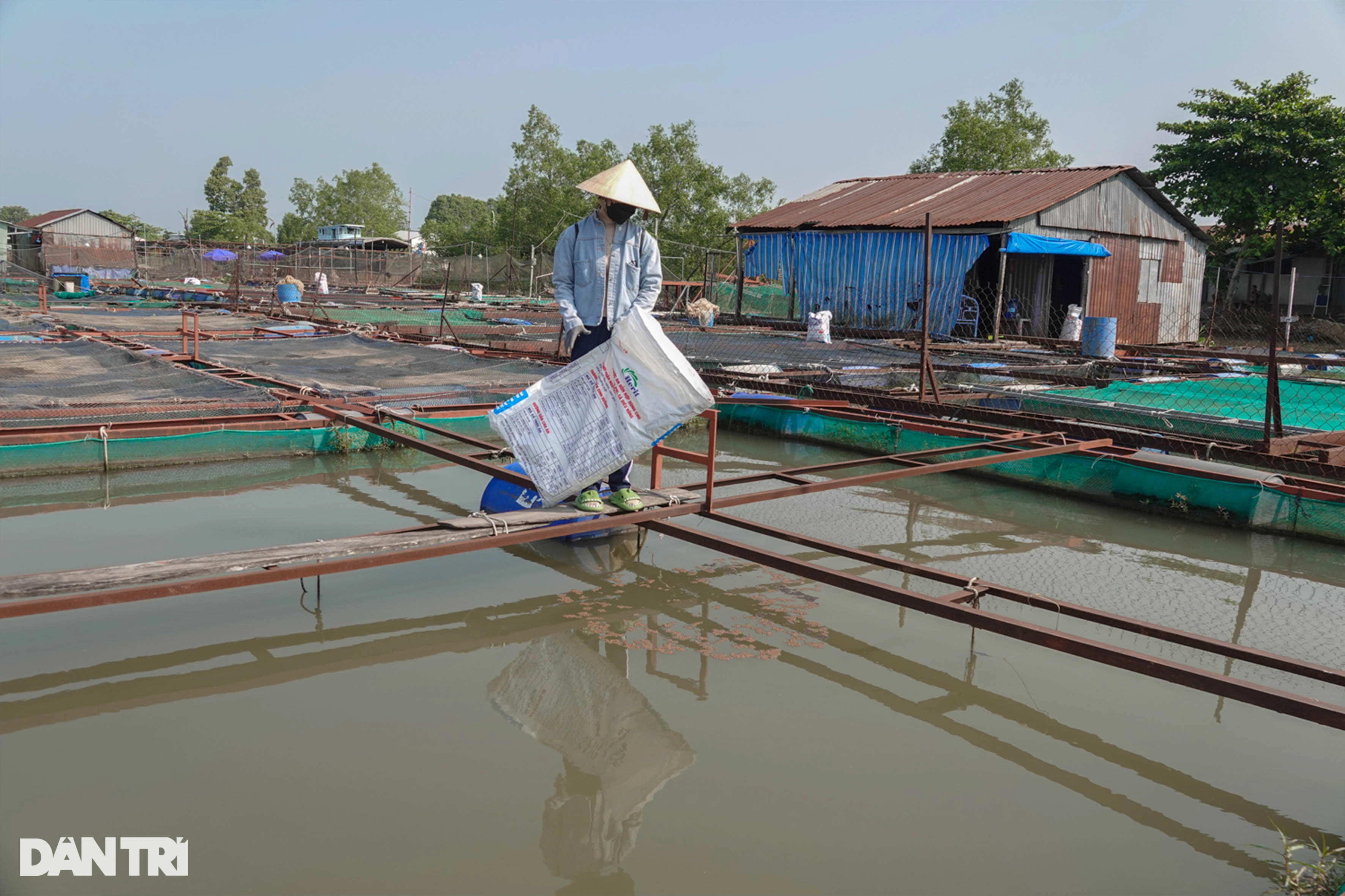 Cô giáo mầm non nghỉ việc về nuôi thủy quái sông Mekong - 3 Cô giáo mầm non nghỉ việc về nuôi thủy quái sông Mekong - 3