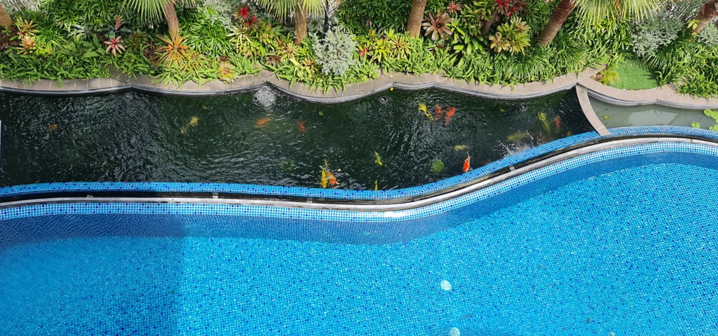 Biệt thự dựng trên 7 lô đất, thiết kế độc đáo giúp tiết kiệm điện ở Đà Nẵng - 5 Biệt thự dựng trên 7 lô đất, thiết kế độc đáo giúp tiết kiệm điện ở Đà Nẵng - 5