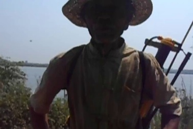 Clip người dân thu hoạch đậu phộng thất bát