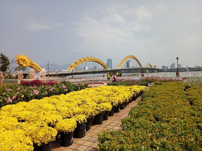 Cầu Rồng sẽ dừng phun lửa, phun nước trong các đêm diễn ra Lễ hội pháo hoa Quốc tế Đà Nẵng 2023.