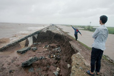 Nâng cấp đê biển từ Quảng Ninh đến Quảng Nam 