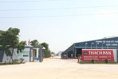 Làm chết lúa của hàng trăm hộ dân, Công ty Thạch Bàn chưa đền bù dứt điểm!