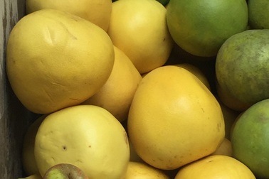 Buôn bưởi vàng óng Trung Quốc thương lái "khóc ròng"