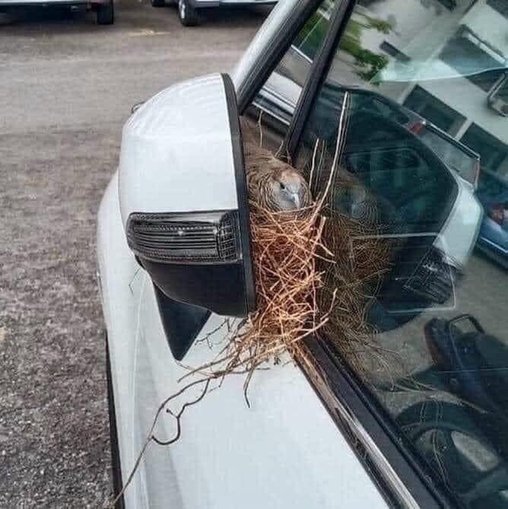 Những cảnh khó đỡ khi xế yêu cả tháng không được dùng tới - 4 Những cảnh khó đỡ khi xế yêu cả tháng không được dùng tới - 4