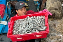 Ngư dân hối hả tiếp nhiên liệu, sẵn sàng đón Tết trên biển