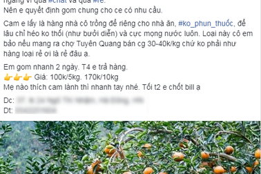 Rao gom mua cam tràn ngập chợ mạng vì sợ dịch Corona