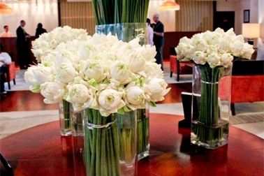 Điểm dừng chân tiếp theo của thí sinh Vietnam’s Next Top Model 