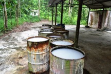 Khen thưởng người dũng cảm tố giác vụ chôn thuốc trừ sâu