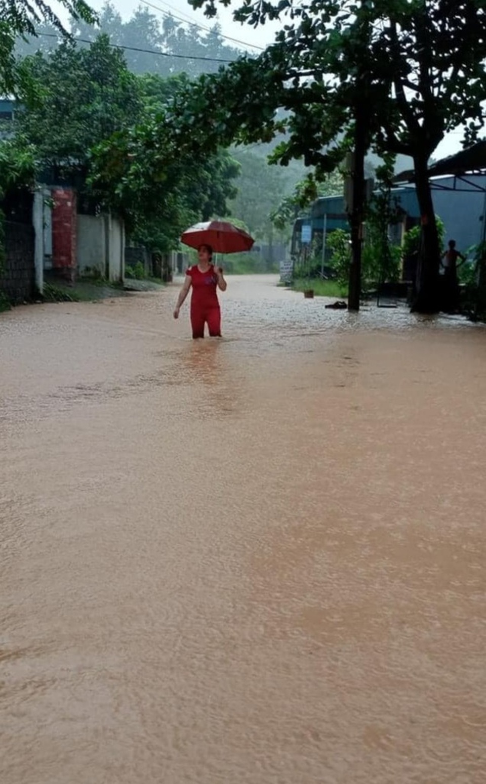 Lào Cai đón trận mưa lớn nhất so với cùng kỳ trong 63 năm qua - 6 Lào Cai đón trận mưa lớn nhất so với cùng kỳ trong 63 năm qua - 6