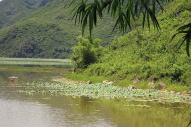 Hà Nội: 8 học sinh nữ chết đuối ở hồ Tuy Lai