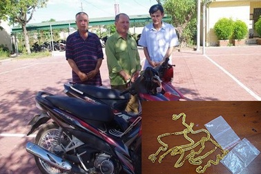 Giả đóng người Lào đi buôn trâu, dùng vàng giả đổi vàng thật