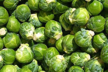 Bay từ Australia về Việt Nam, bắp cải tí hon được "hét giá" 400.000 đồng/kg