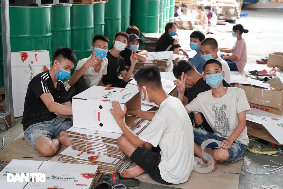 Cận cảnh quy trình đóng gói vải thiều không Covid-19 xuất sang Nhật Bản - 8 Cận cảnh quy trình đóng gói vải thiều không Covid-19 xuất sang Nhật Bản - 8