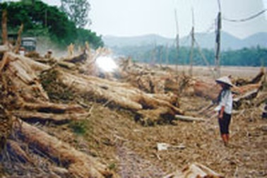 “Trưởng phòng PC15 Hà Tĩnh bị bắt khẩn cấp” chỉ là tin đồn