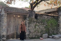 Tiết lộ bất ngờ về cây hồng trăm tuổi gây "sốt" mạng ở Ninh Bình