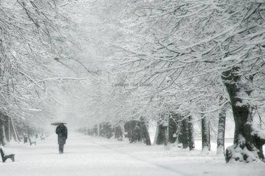 Bị lạnh có thể khiến bạn ốm?