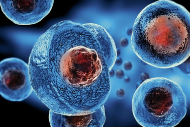 Nhiều quảng cáo tế bào gốc không kiểm chứng khoa học có thể gây hậu quả