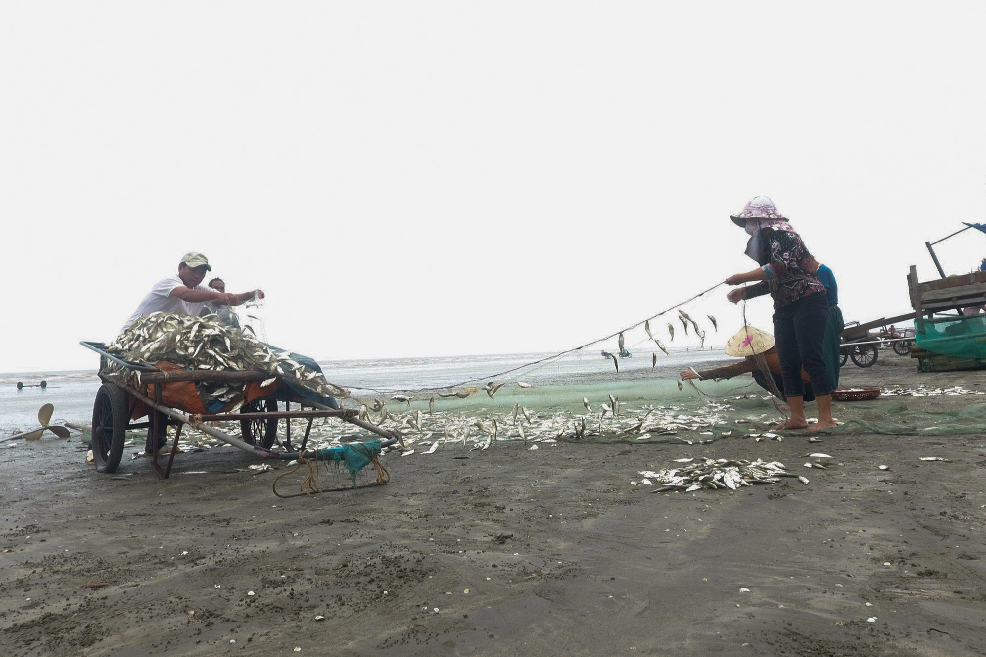 Phụ nữ làng biển mướt mồ hôi nướng cá bên bếp lửa giữa trưa 39 độ C - 2