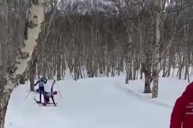 Vận động viên trượt tuyết mất mạng vì đâm vào gốc cây