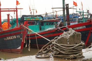 Thanh Hóa: Tàu thuyền cấp tập vào bờ tránh trú bão Sơn Tinh
