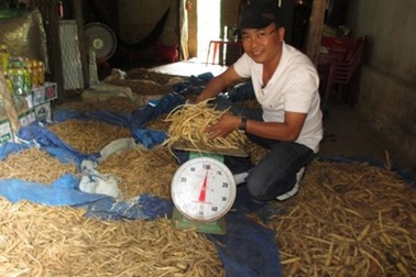 Sâm và những cơn “sóng ngầm” 