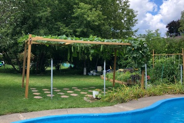 Vườn 600m2 yên bình, bội thu bầu, mướp của gia đình Việt Nam ở Canada