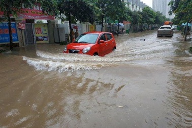 “Trị thủy” bằng cách nào?