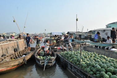 Sáng 30 tết, chợ nổi Cái Răng vắng tanh như "chùa bà đanh"