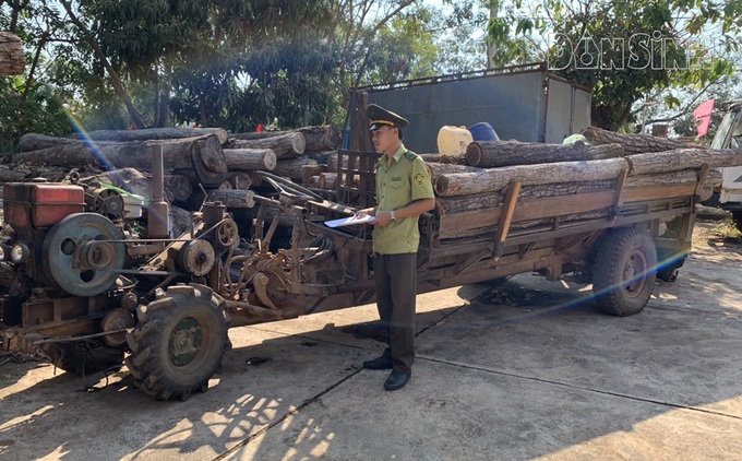 Đắk Lắk: Vận chuyển gỗ trái phép bị phát hiện - Ảnh 2. Đắk Lắk: Vận chuyển gỗ trái phép bị phát hiện - Ảnh 2.