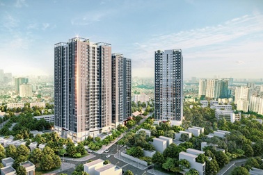 Feliz Homes ghi nhận thanh khoản tích cực cuối năm