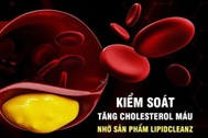 Hỗ trợ giảm cholesterol máu nhờ sản phẩm Lipidcleanz