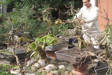 Nghề tay trái thu nhập cao của nhà giáo