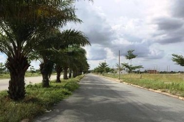 TPHCM chỉ đạo tạm ngưng đấu giá và thanh tra Dự án KCN Phong Phú