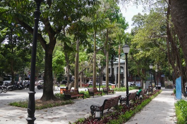 Cận cảnh vườn hoa kiểu mẫu hơn 5 tỷ đồng ở trung tâm Hà Nội