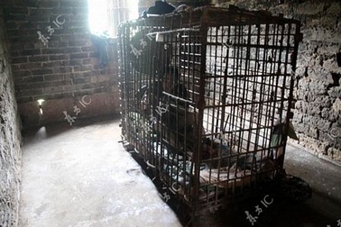 Sống trong lồng sắt suốt 11 năm 