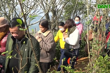 Dòng người đi quanh huyệt đạo, xoa tiền lên quả cầu đá ngày "mở cổng trời"