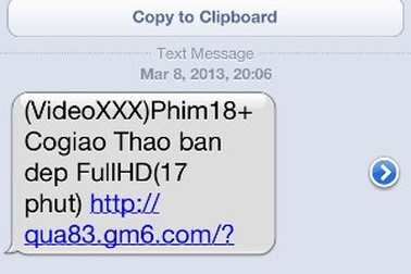 Thuê bao di động phát hoảng vì tin nhắn rác sex