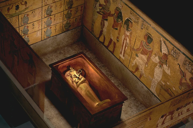 Bí ẩn loại nấm chết người đằng sau lời nguyền Tutankhamun
