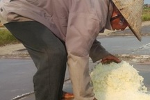 Diêm dân mưu sinh dưới chảo lửa, kiếm 50.000 đồng/ngày