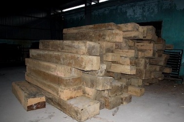 Phát hiện kho gỗ hàng trăm mét khối không rõ nguồn gốc