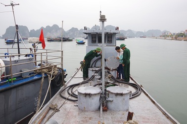 Biên phòng bắt giữ tàu chở 3.000 lít dầu DO không rõ nguồn gốc