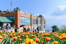 Núi Bà Tây Ninh: Nhiều trải nghiệm mới hấp dẫn dịp Tết Nguyên đán